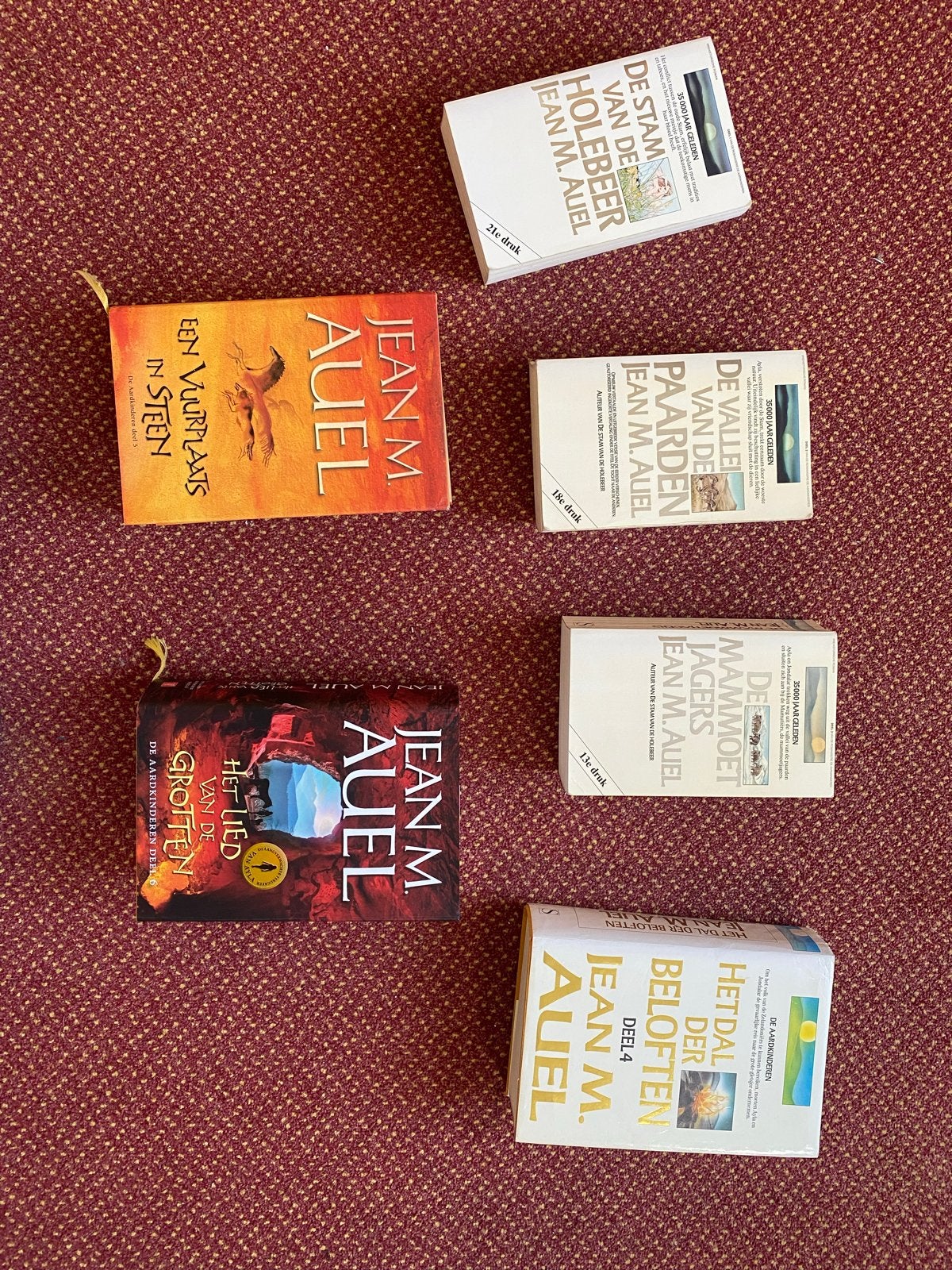 Reeks Aardkinderen - 6x Stam van de Holebeer, Boeken, Ophalen of Verzenden, Gelezen, Nederland