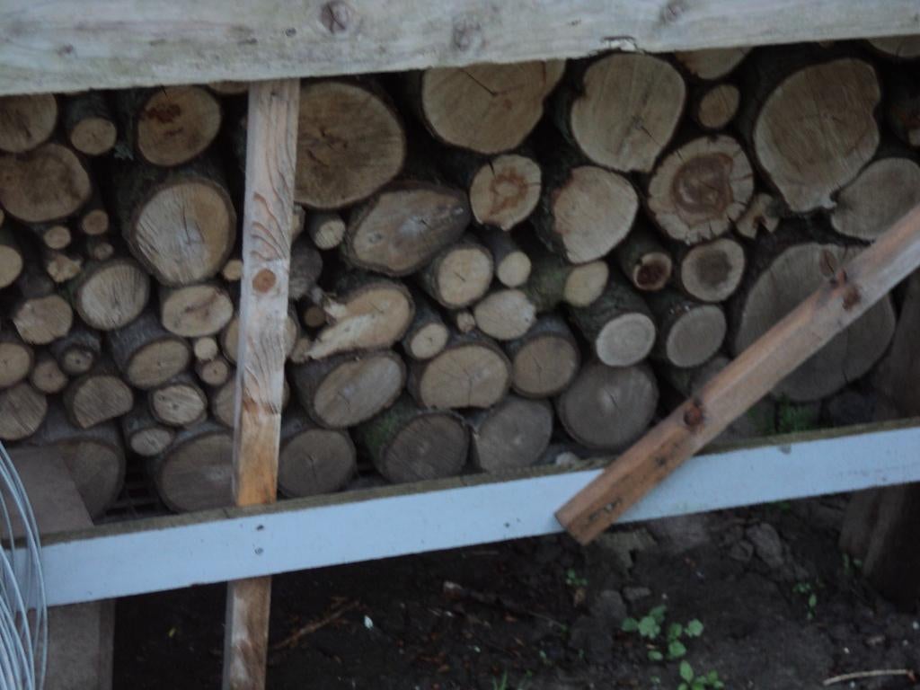 OPENHAARD HOUT NU  MET 50% KORTING VAN FRUITBOMEN + WILGEN, Tuin en Terras, Haardhout, 6 m³ of meer, Ophalen