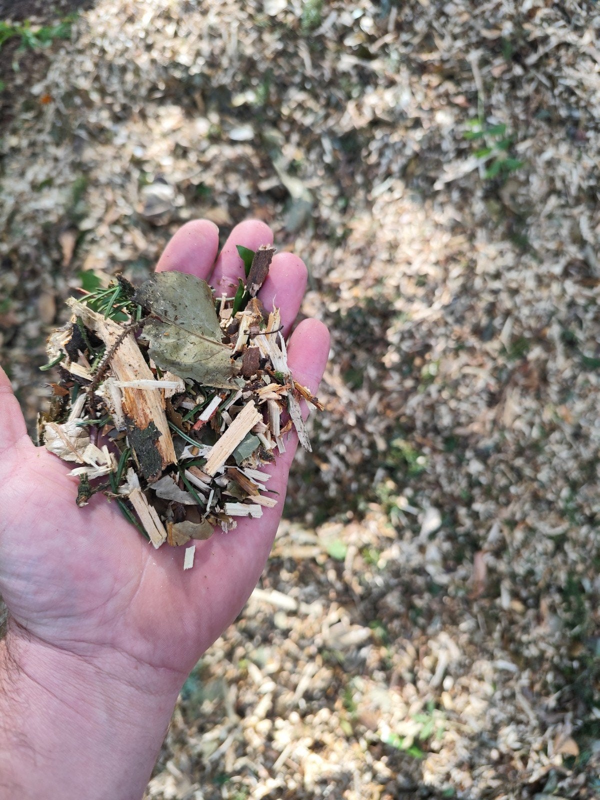 Houtsnippers - Ideaal voor Tuin en Pad, Tuin en Terras, Ophalen, Gebruikt, Overige typen