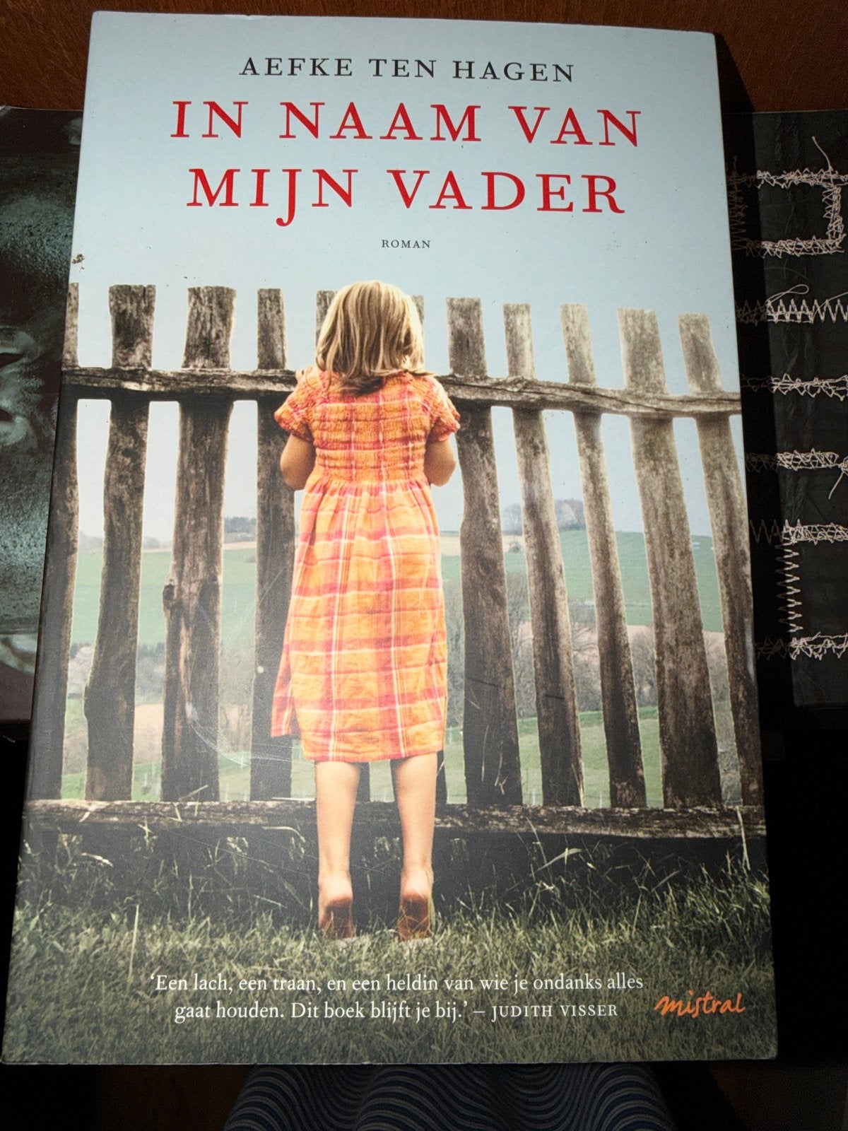 KKK.  Aefke ten Hagen - In naam van mijn vader, Ophalen of Verzenden, Zo goed als nieuw, Aefke ten Hagen
