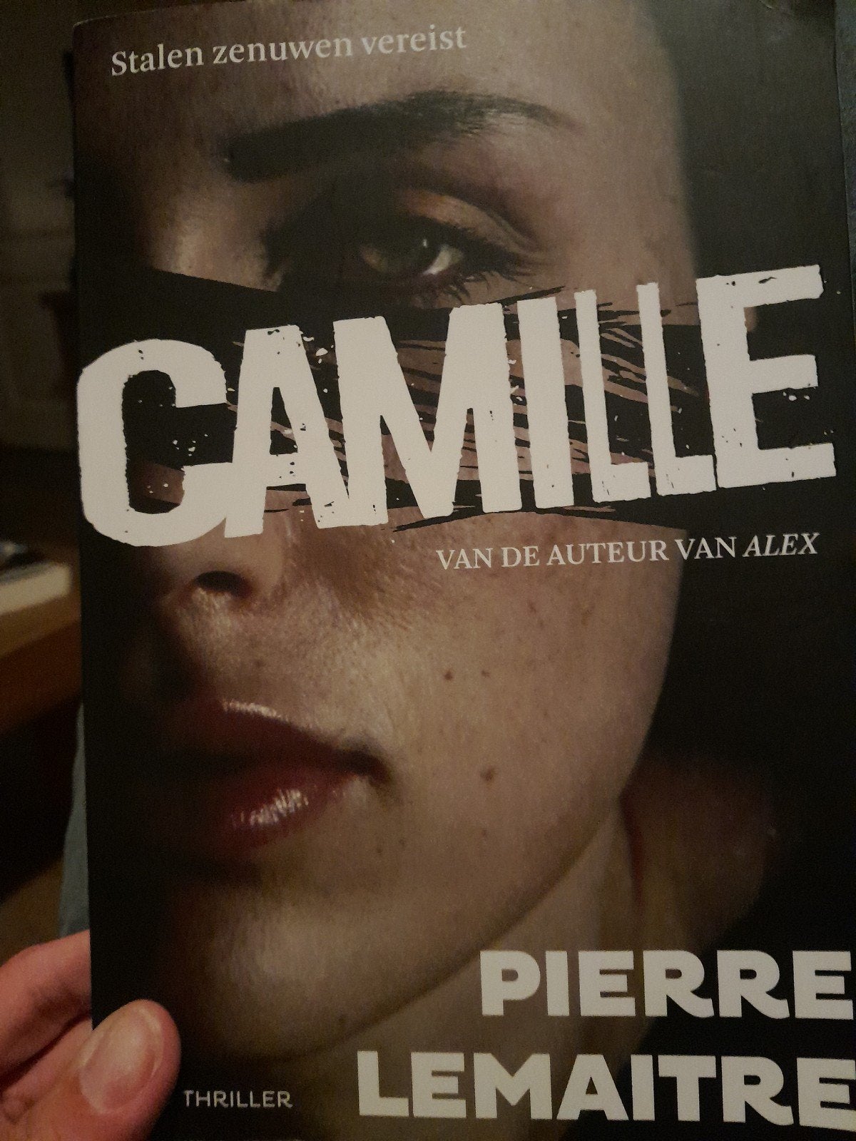 Pierre Lemaitre - Camille, Boeken, Verzenden, Zo goed als nieuw, Pierre Lemaitre
