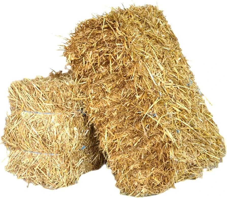 leverancier hooi gezocht!, Dieren en Toebehoren, Dierenvoeding, Ophalen of Verzenden, Vee