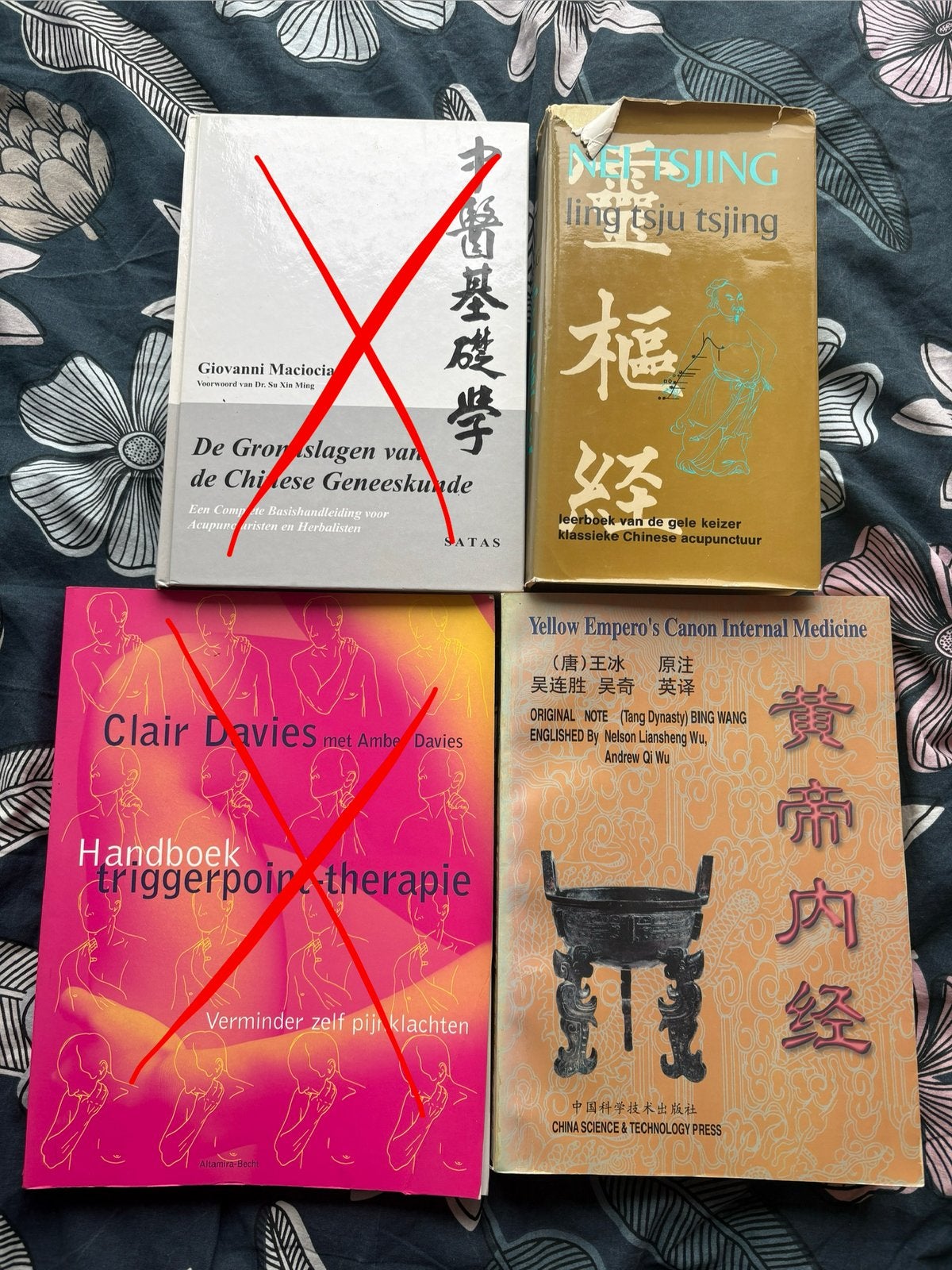 Studieboeken acupunctuur TCM, Boeken, Diverse auteurs, Zo goed als nieuw, Gamma, HBO