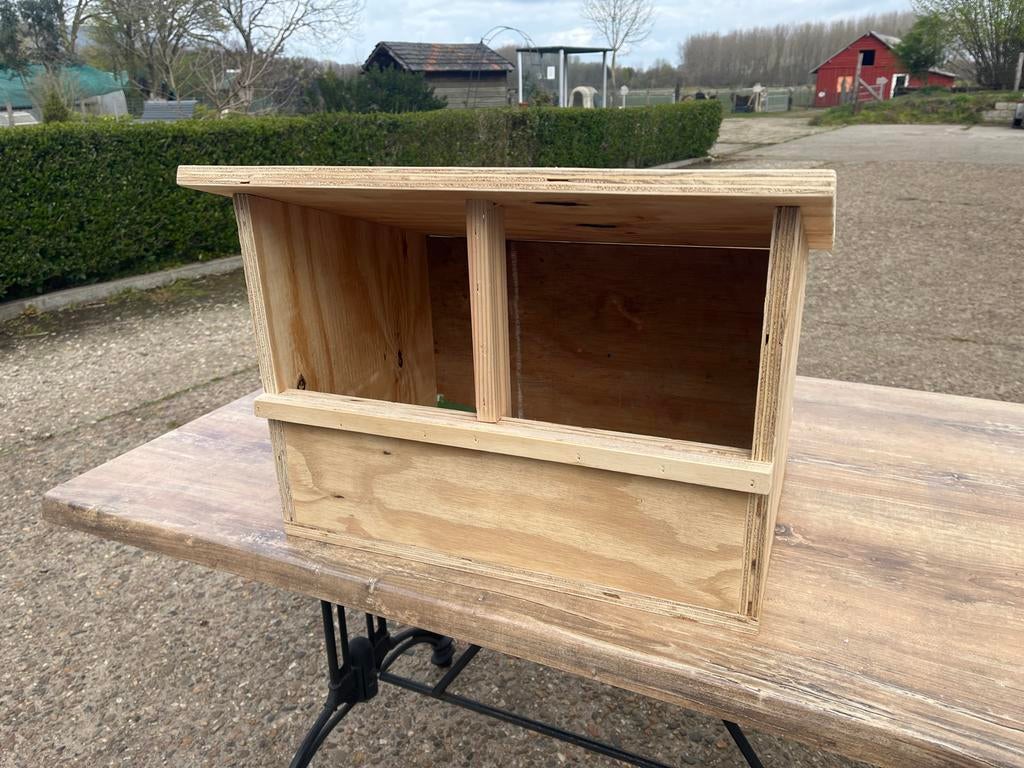 Torenvalk nestkast, Verzenden, Nieuw, Hout, Vogelkooi