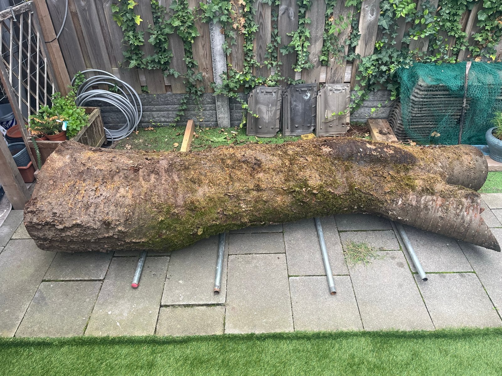 Grote boomstam voor decoratie of houtbewerking, Gebruikt, 100 cm of meer, Ophalen of Verzenden, Overige vormen