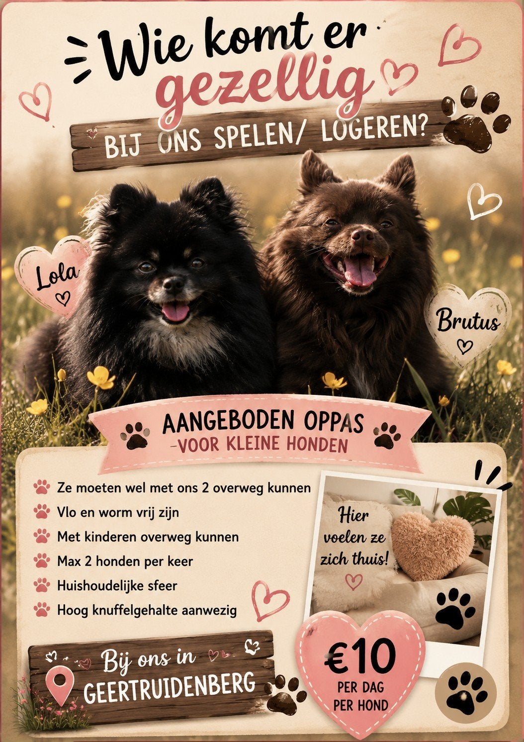 honden oppas aangeboden, Ophalen