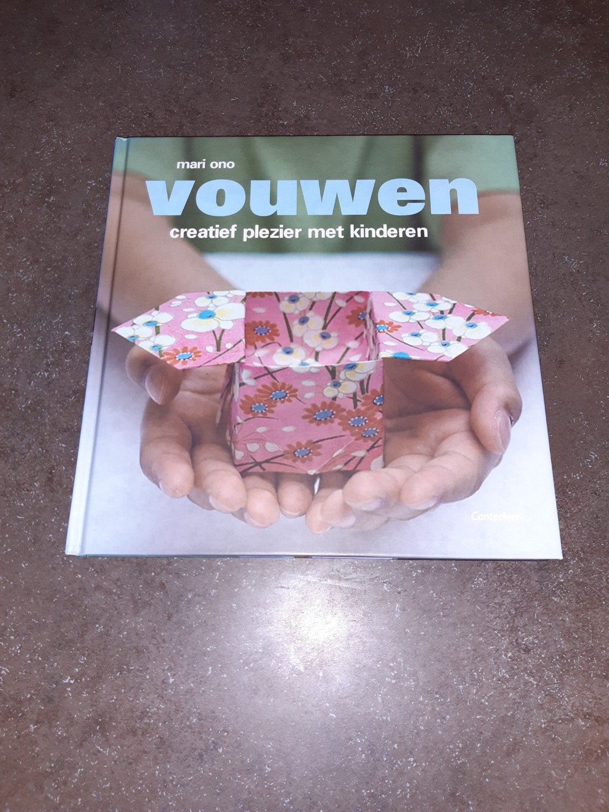 mari Ono vouwen/origami nieuwstaat plezier met kinderen, Ophalen of Verzenden, Zo goed als nieuw