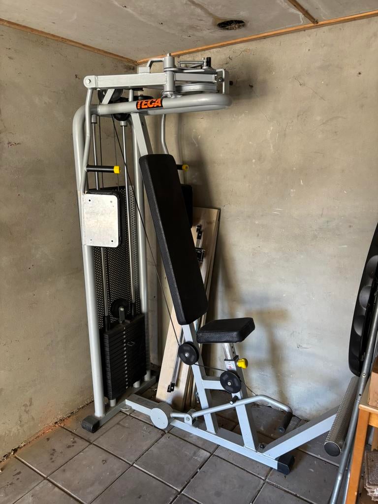 Professionele TECA Pec Deck 5-80kg, Ophalen, Gebruikt, Borst, Overige typen