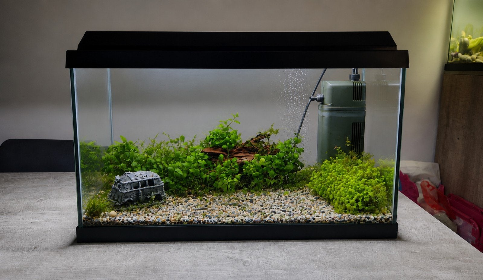 Aquarium 60cm, Dieren en Toebehoren, Ophalen of Verzenden, Zo goed als nieuw, Gevuld zoetwateraquarium