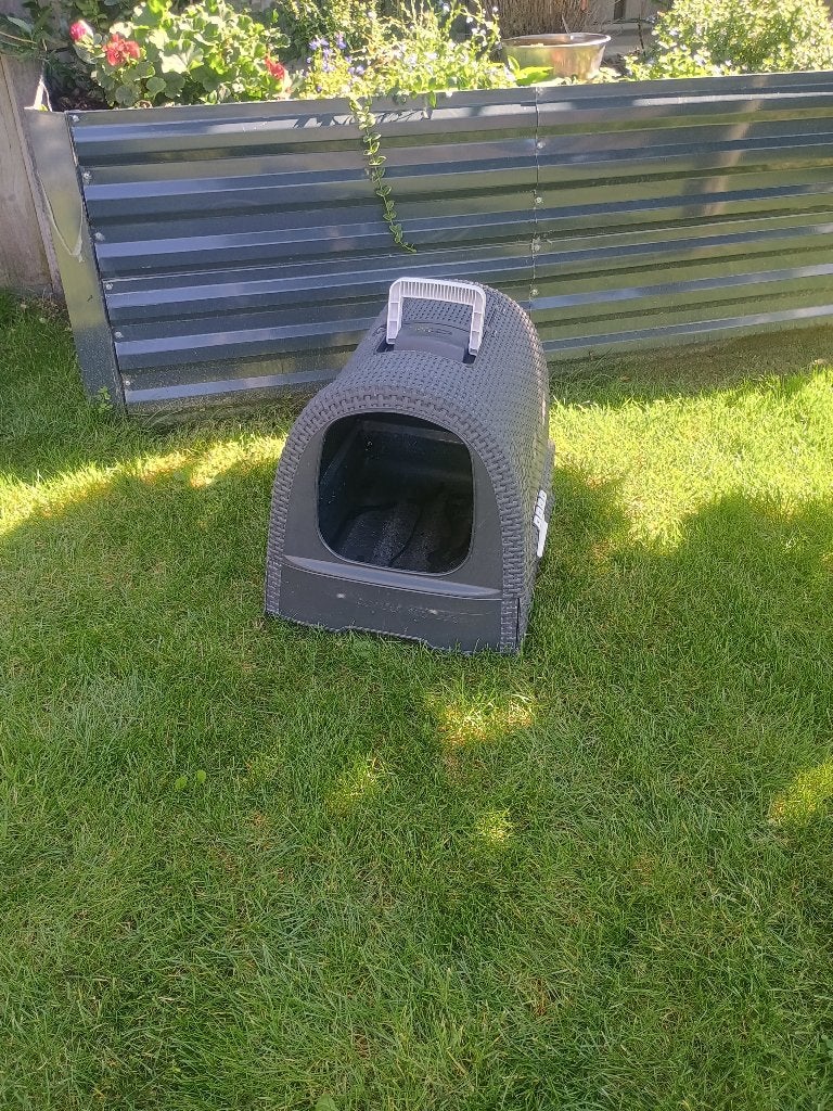 Te koop gebruikt Curver katten toilet, Dieren en Toebehoren, Ophalen of Verzenden, Gebruikt, Open