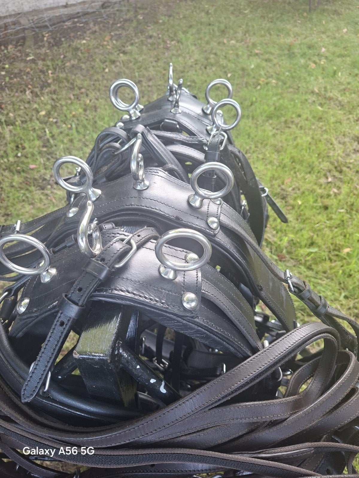Tuig voor dubbelspan mini Shetlander, Ophalen, Mini