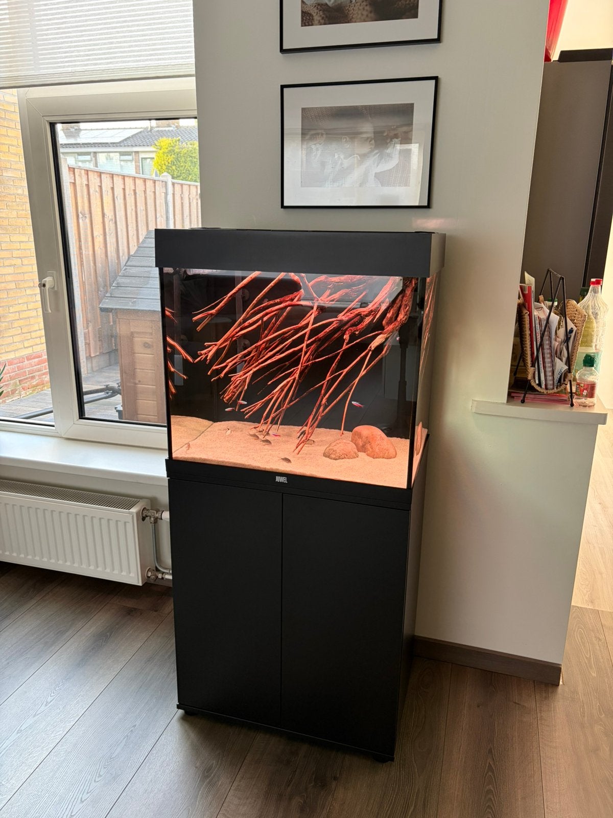 Juwel Lido 120 + Oase Biomaster Thermo 250 + Chihiros WRGB, Dieren en Toebehoren, Ophalen, Inclusief controller, Zo goed als nieuw