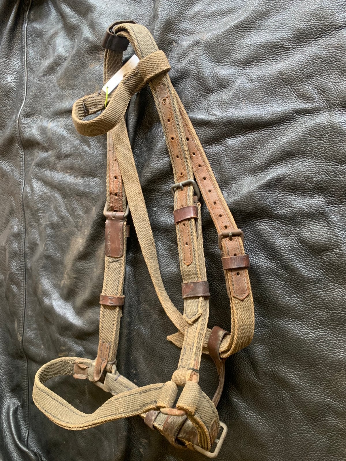 Duits paardenhalster militair, Ophalen of Verzenden, Landmacht, Duitsland, Overige typen