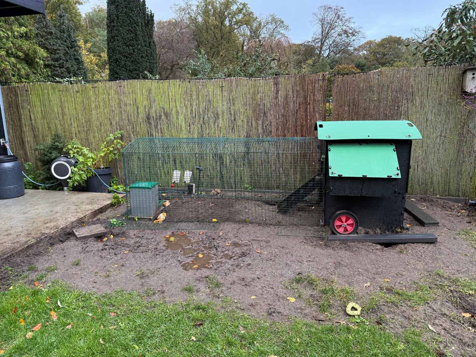 Nestera kippenhok met kippenren en automatische deur, Ophalen of Verzenden, Kippenhok of Kippenren