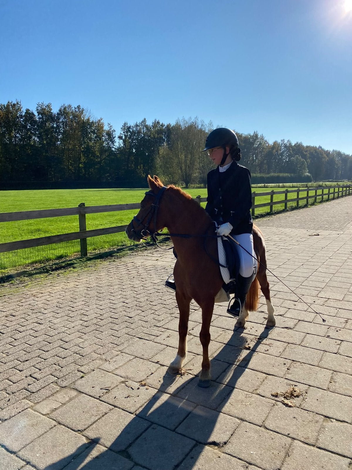 Te koop  A pony bereden, Dieren en Toebehoren, Pony's, Merrie, Met stamboom, A pony (tot 1.17m), L