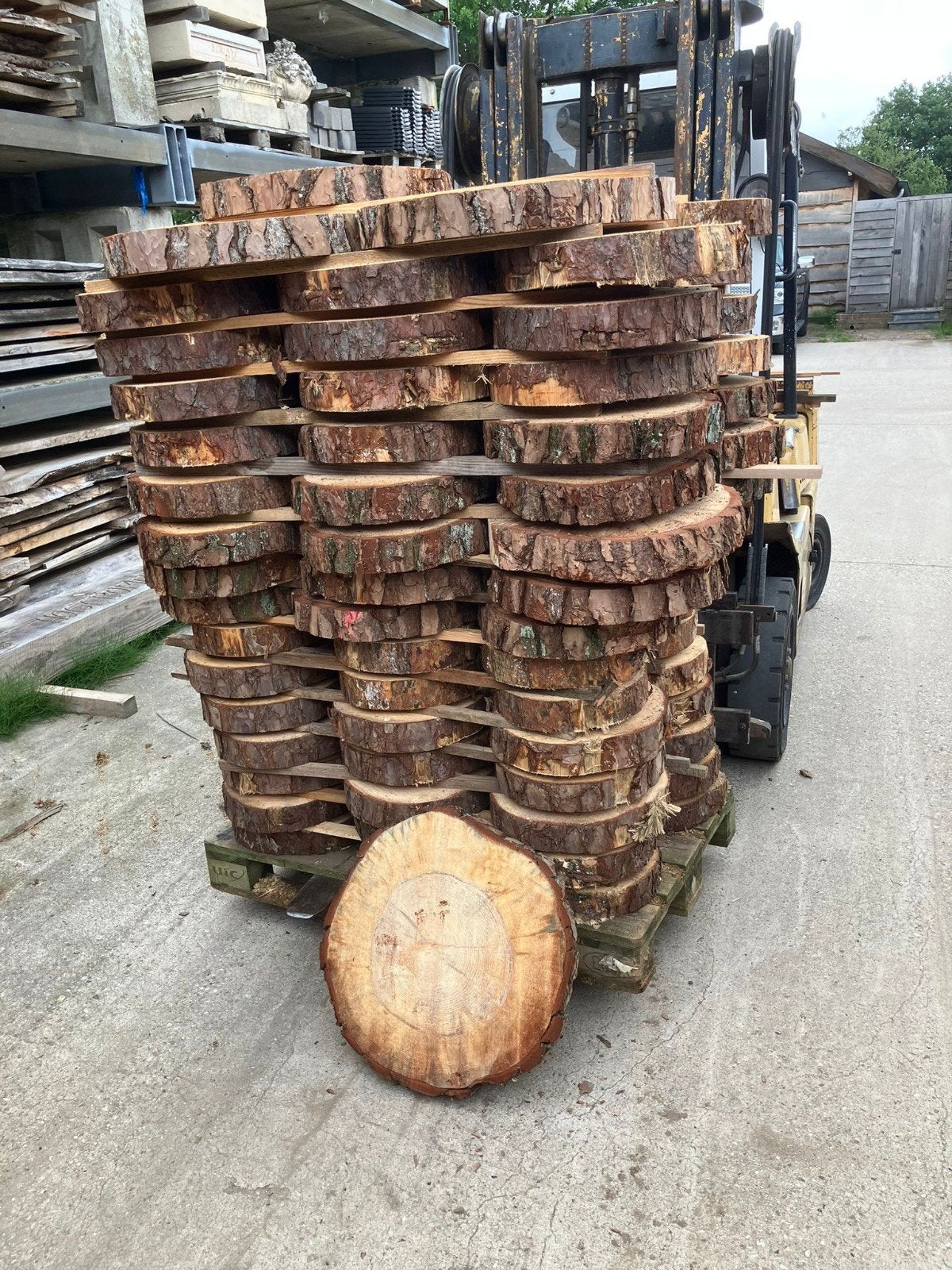 Partij van 100 stuks boomstam schijven, Tuin en Terras, Palen, Balken en Planken, Ophalen, Nieuw