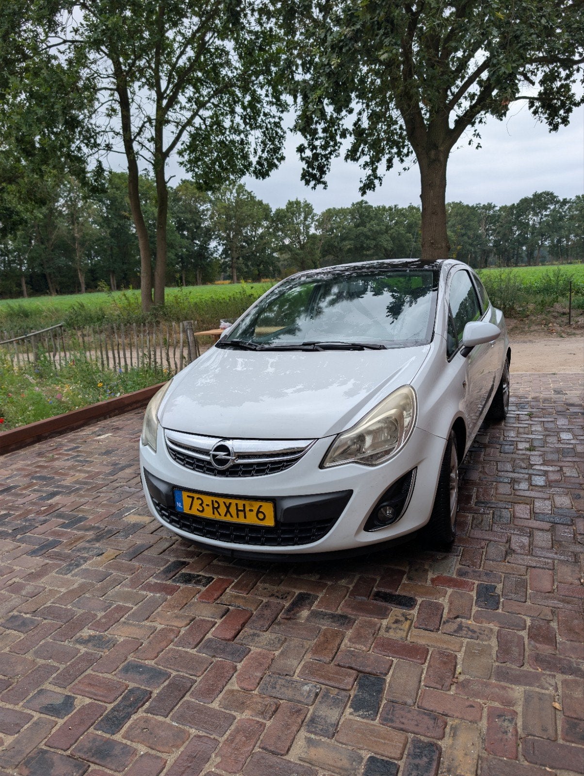 Opel Corsa D 1.2 bi-fuel - loop of sloop, Ophalen, Gebruikt, Opel