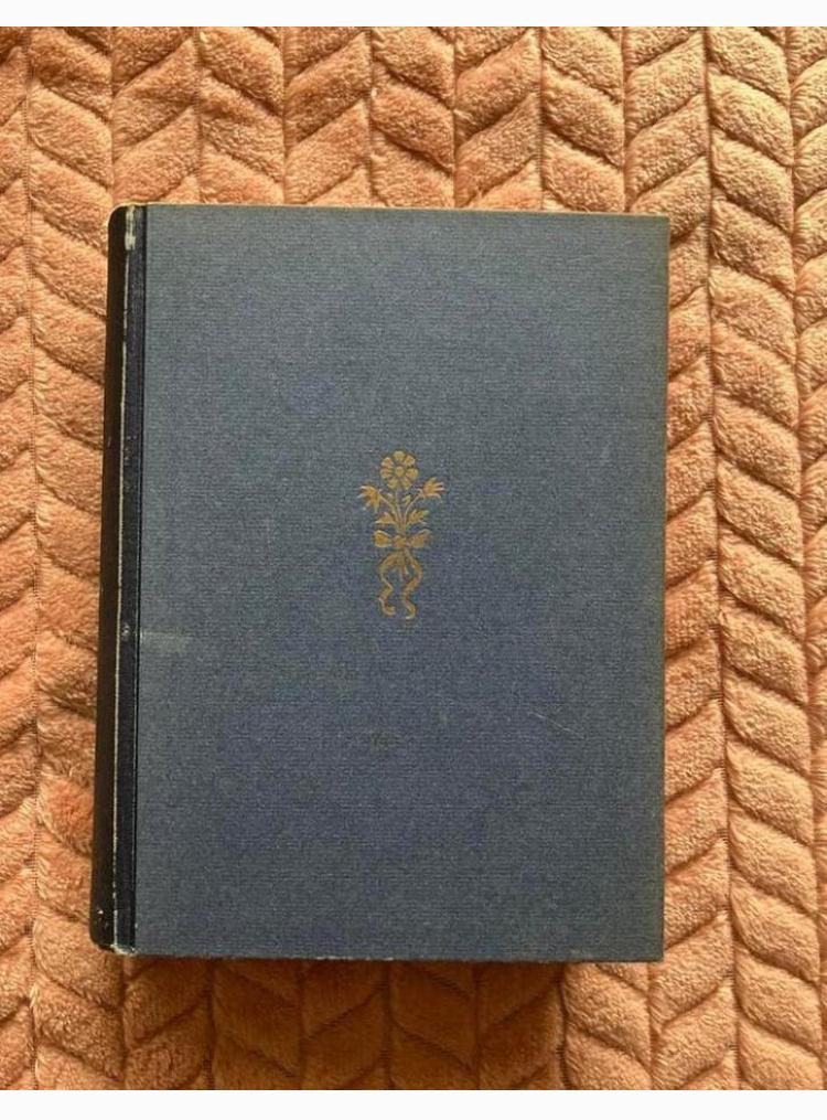 De Heroïeke wijsbegeerte van de Renaissance Dr A. Vloemans, Ophalen of Verzenden, Gelezen, Christendom | Protestants