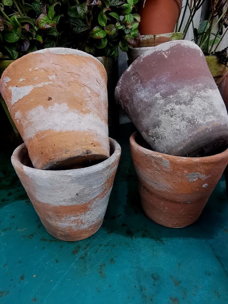 Antieke bloempotjes v n Belgische kweker handgemaakt Miekje, Ophalen, ., Rond, .