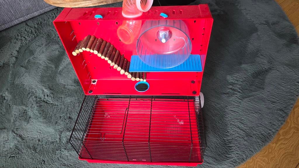 Hamster kooi met veel spullen, Kooi, Minder dan 75 cm, Zo goed als nieuw, Hamster