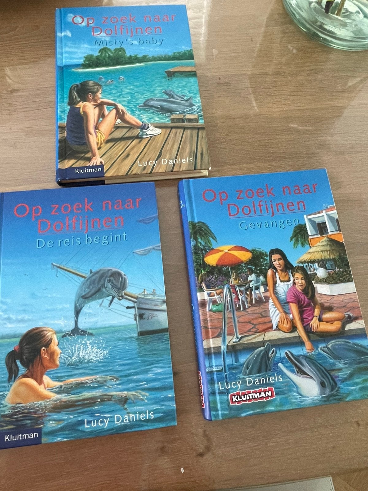 Op zoek naar dolfijnen, Boeken, Ophalen of Verzenden, Zo goed als nieuw, Fictie