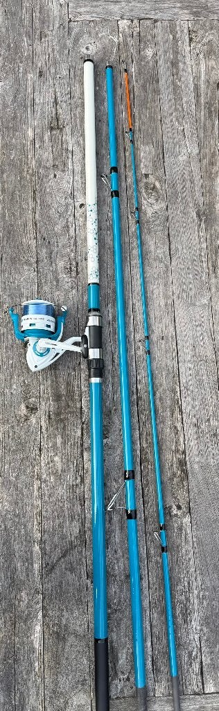 Nieuwe Mitchell zeehengel 4,20 m + Neuron SW 8000 molen, Watersport en Boten, Ophalen of Verzenden, Nieuw, Complete set