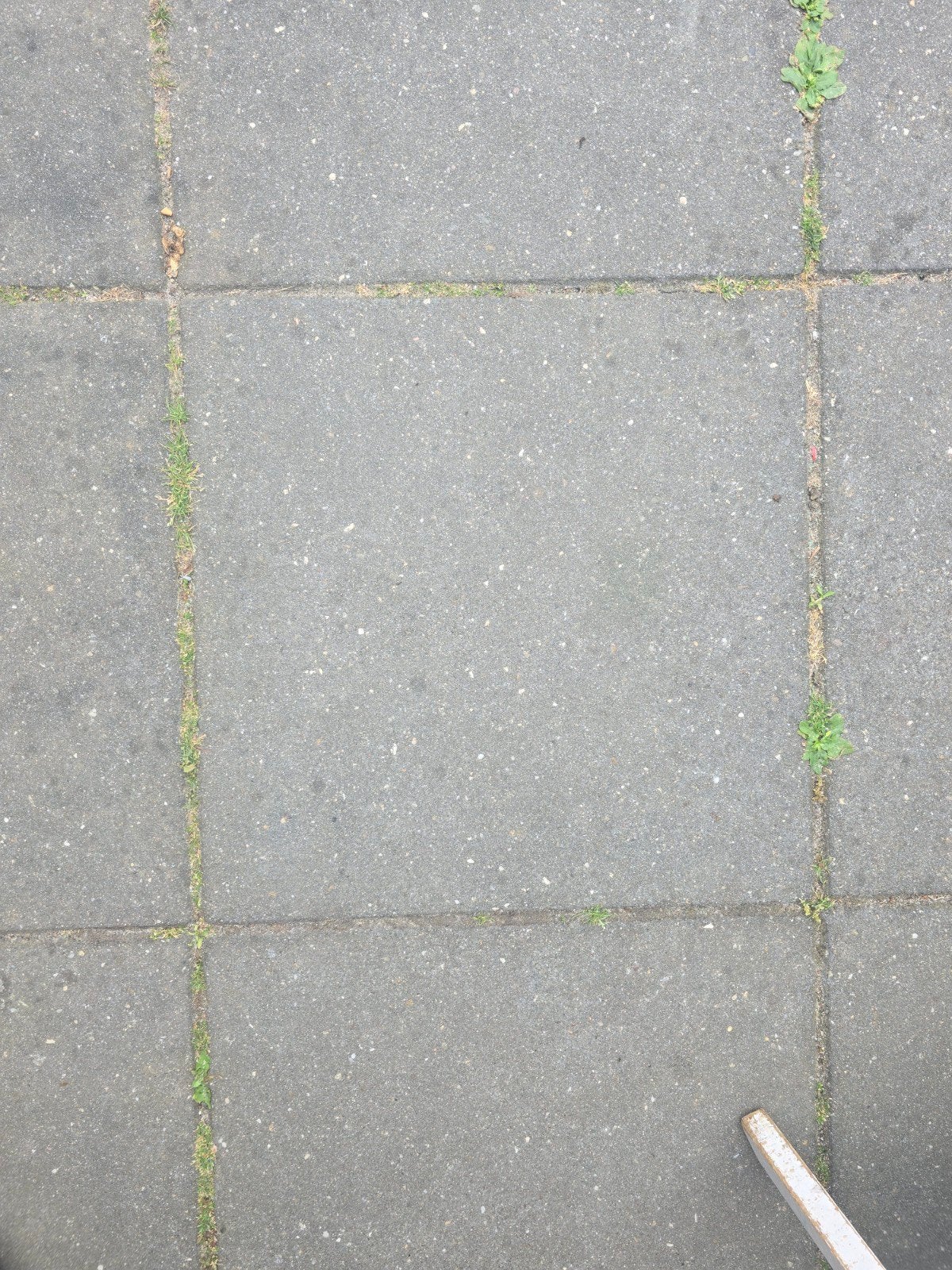 tuintegels, Tuin en Terras, Tegels en Klinkers, Ophalen, Beton, Terrastegels