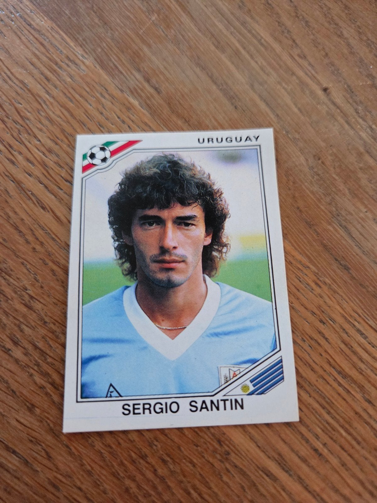 Panini WK 86, Ophalen of Verzenden, Zo goed als nieuw, Buitenlandse clubs, Poster, Plaatje of Sticker