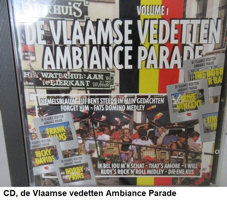 4 stuks CD's de Vlaamse Ambiance, carnaval, feest &  fuiven, Ophalen of Verzenden, Zo goed als nieuw, Overige genres