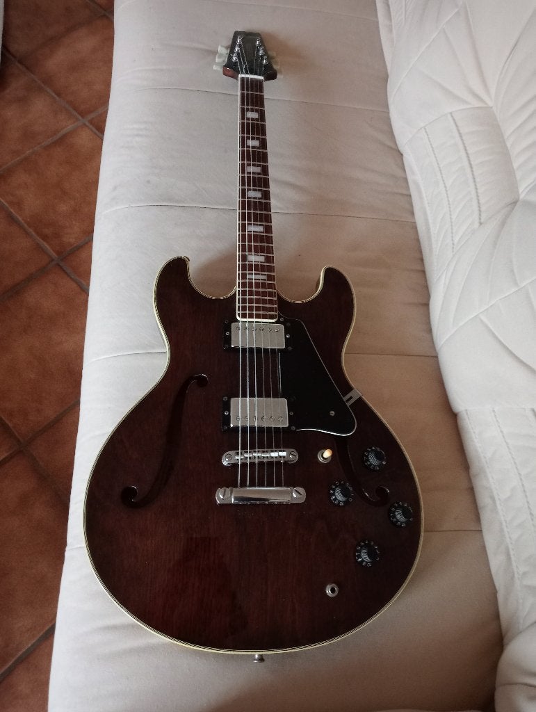 Aria Pro II es 200 WA, Ophalen of Verzenden, Gebruikt, Hollow body, Overige merken
