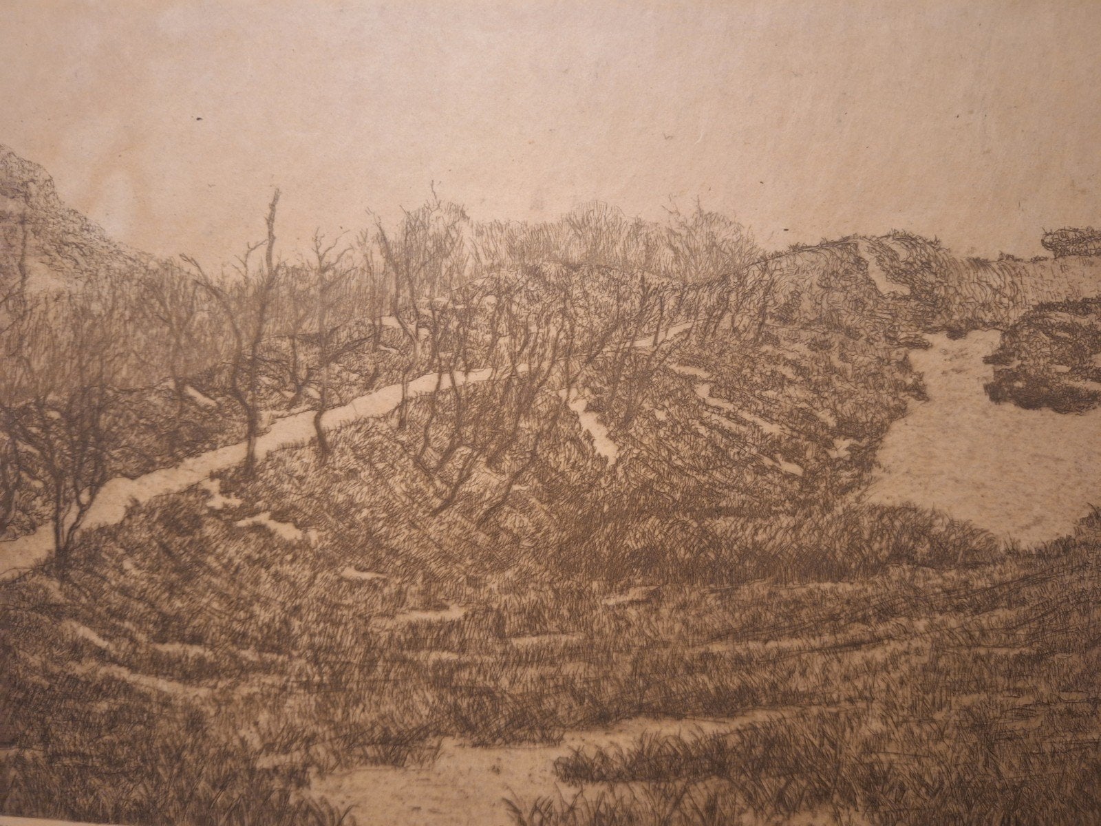 Ets Duinlandschap door M. Kramer, Ophalen of Verzenden, Landschap, Ets, 1900 - 1949