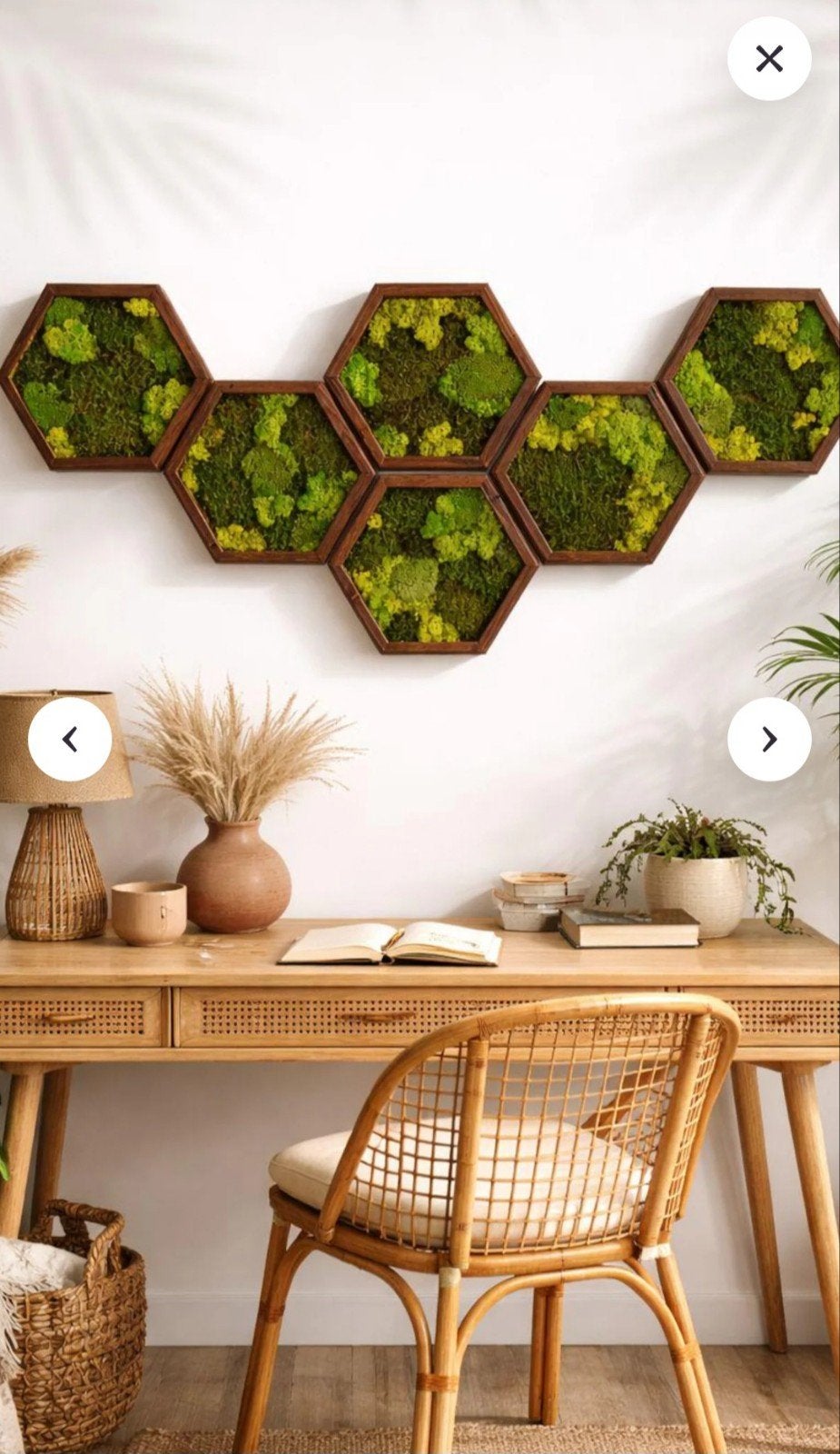 Set van 8 Hexagon Mosschilderijen, Groen, 26 cm, Hout, Nieuw