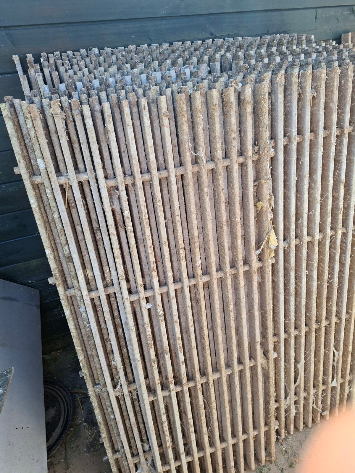Roosters, Ophalen, 110 cm of meer