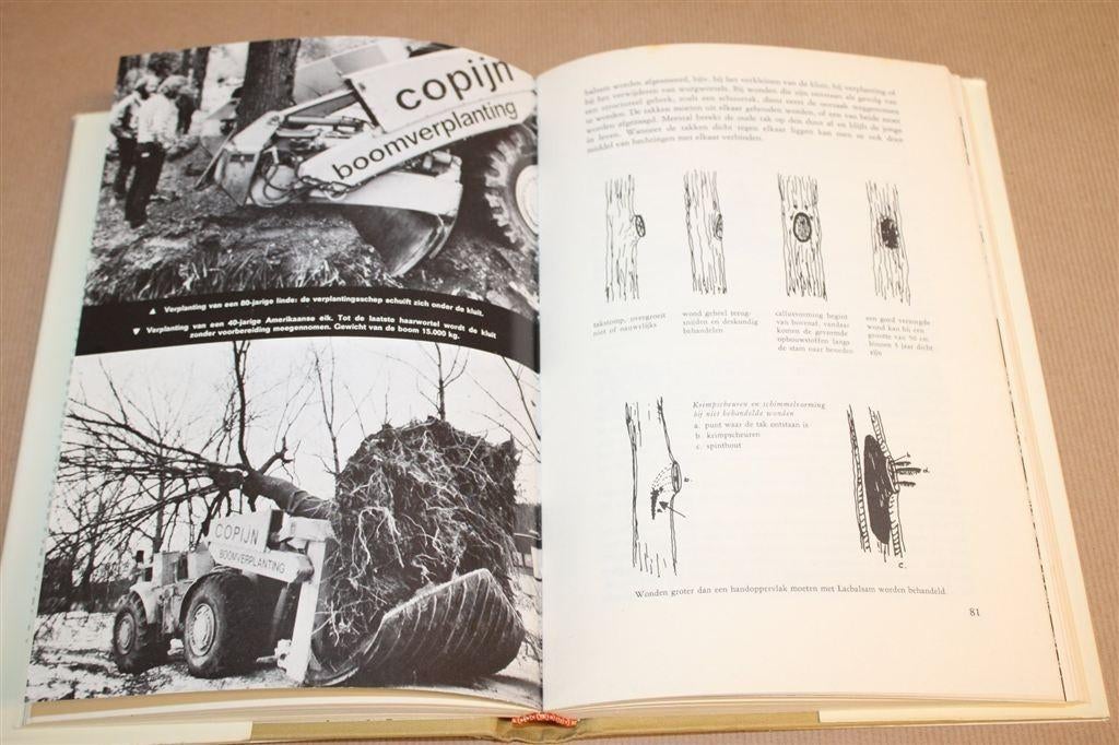 Bomen Laten Leven — Functie Geschiedenis & Verzorging, Boeken, Natuur, Ophalen of Verzenden, Gelezen, Bloemen, Planten en Bomen