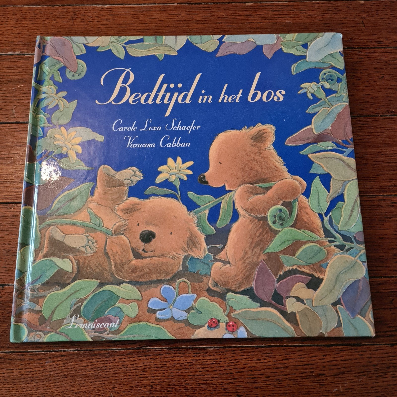 Vanessa Cabban - Bedtijd in het bos, Ophalen of Verzenden, Zo goed als nieuw, Vanessa Cabban; C.L. Schaefer