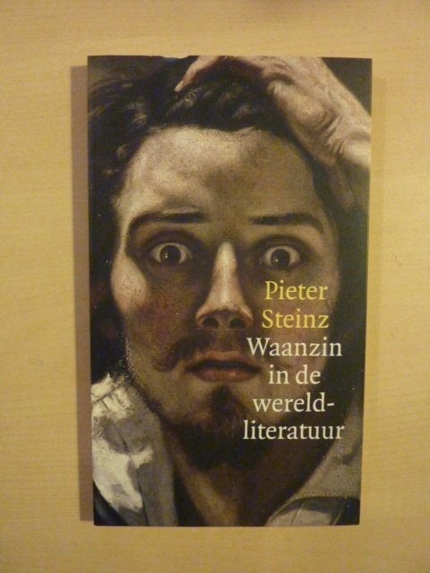 Pieter Steinz - Waanzin in de wereldliteratuur, Verzenden, Zo goed als nieuw