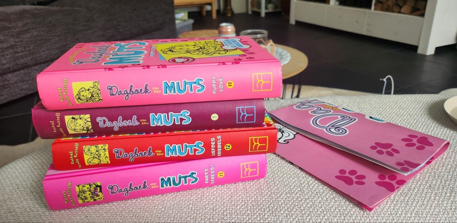 Dagboek van een Muts deel 1, 10, 12, 13 + Puppy Love poster, Ophalen, Zo goed als nieuw