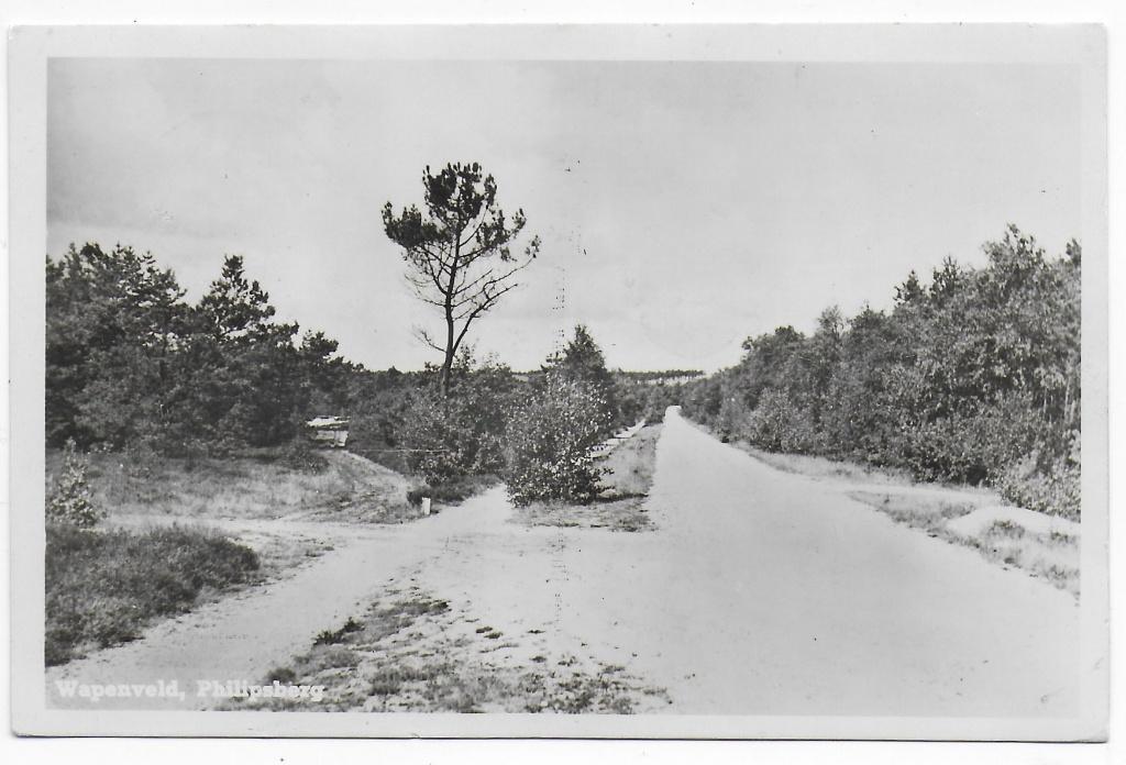 Thorn Wandellaantje Gelopen  Ansichtkaart   (B8261 ), Verzamelen, Ansichtkaarten | Nederland, Ophalen of Verzenden, 1940 tot 1960
