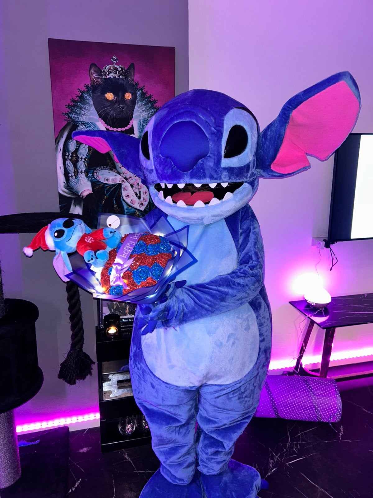 Stitch mascotte, Ophalen of Verzenden, Zo goed als nieuw, Verjaardag