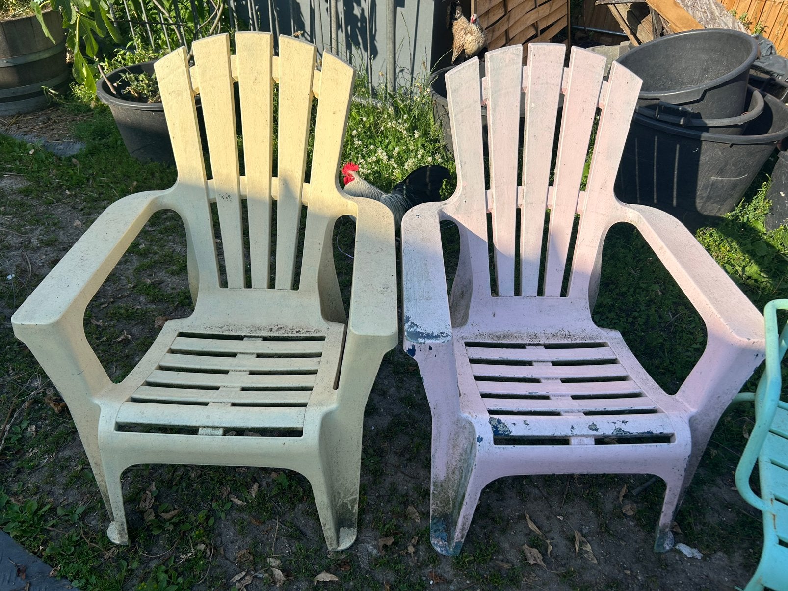 Gratis tuinstoelen!, Tuin en Terras, Tuinstoelen, Ophalen, Zo goed als nieuw, Kunststof