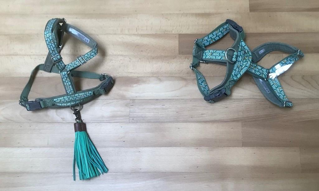 Nieuwe Hurtta hondentuigjes//harnas & stoere DWAM halsbanden, Ophalen of Verzenden, Nieuw