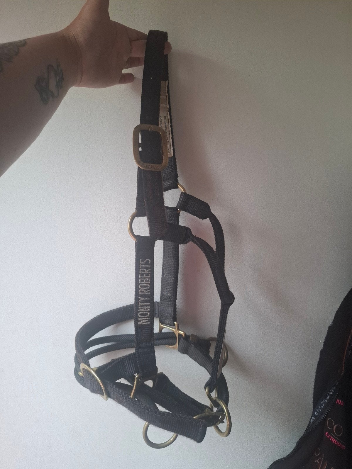 Monty Roberts trainingshalster, Dieren en Toebehoren, Paarden en Pony's | Hoofdstellen en Tuigage, Overige disciplines, Ophalen of Verzenden