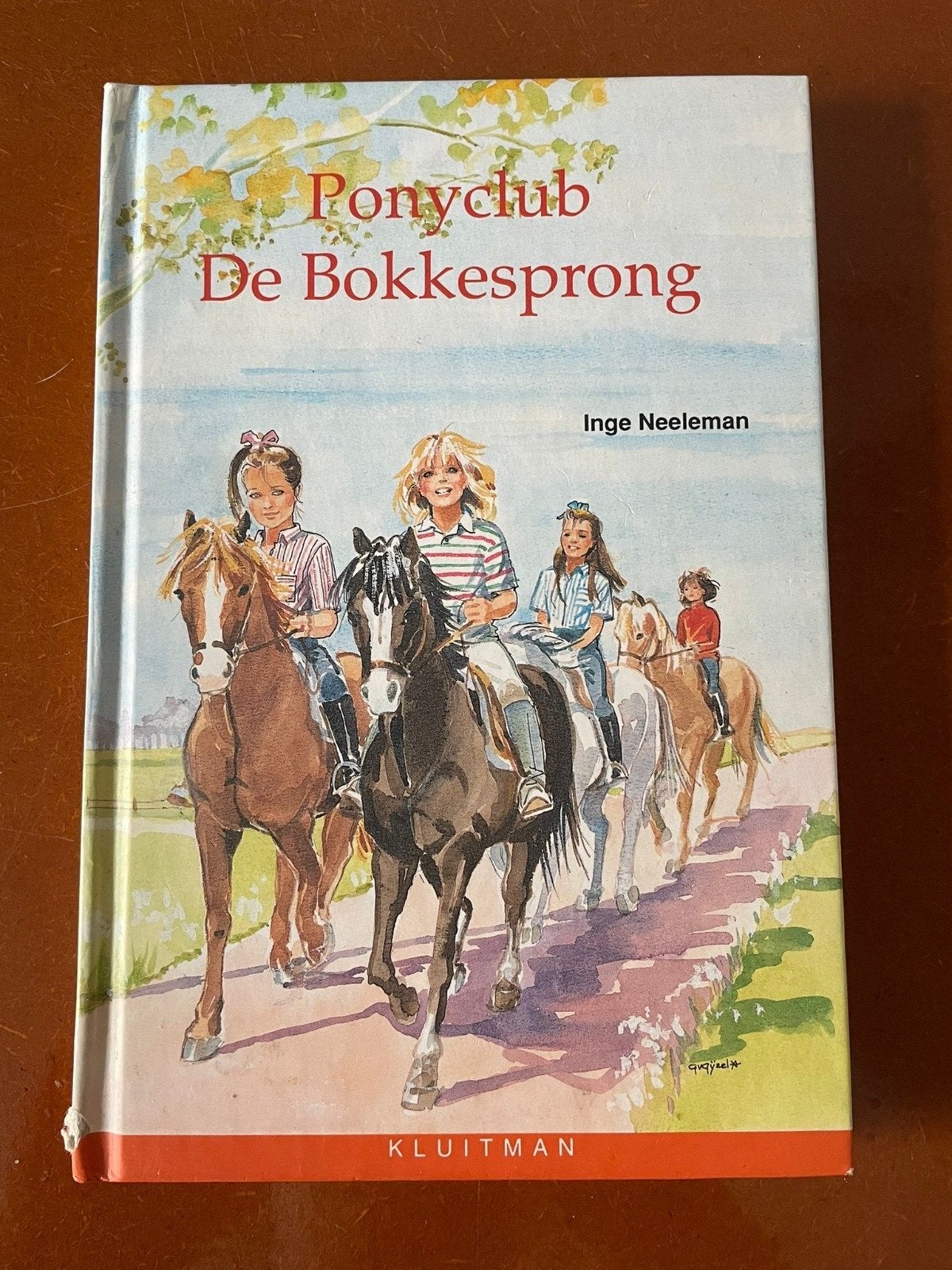 Ponyclub De Bokkesprong - Inge Neeleman (Sterserie), Ophalen, Gelezen, Fictie