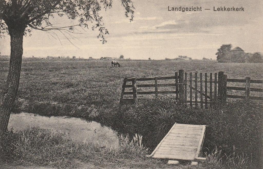 06142 Lekkerkerk - Landgezicht, Verzamelen, Ansichtkaarten | Nederland, Ongelopen, Zuid-Holland, 1920 tot 1940, Verzenden