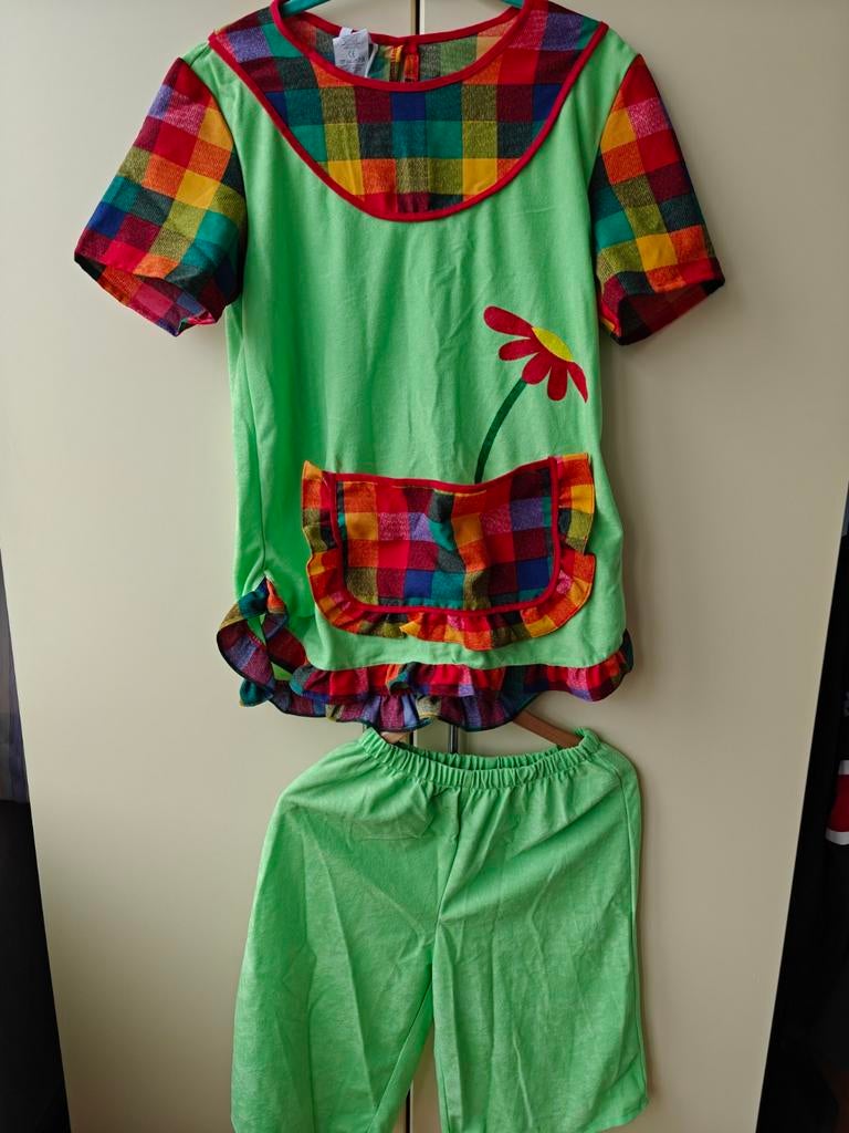 Carnaval Pak (38), Maat 38/40 (M), Carnaval, Ophalen of Verzenden, Kleding