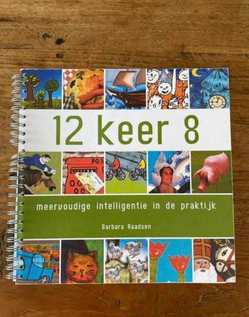 12 X 8 Meervoudige Intelligentie in de praktijk, Ophalen of Verzenden, Alpha, Zo goed als nieuw, HBO