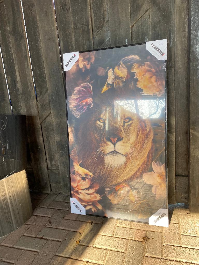 prachtige poster met  leeuw, Ophalen, Rechthoekig Staand, Met lijst, Deurposter of groter
