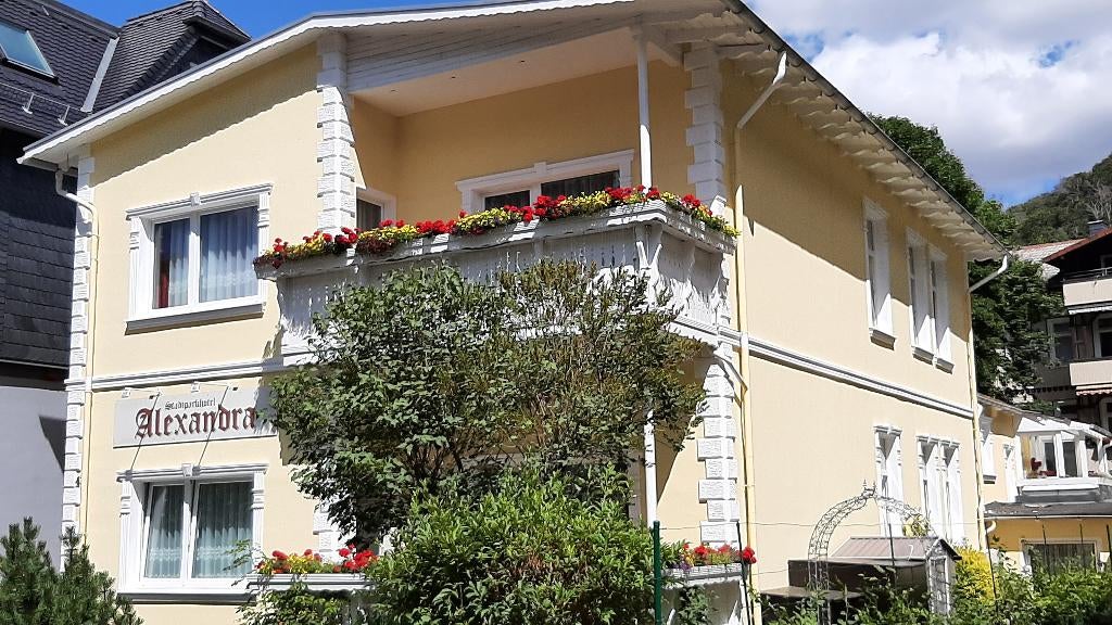 Hotel met Flair in Bad Harzburg, Huizen en Kamers, Buitenland, 11 kamers, Woonhuis, Duitsland, Verkoop zonder makelaar