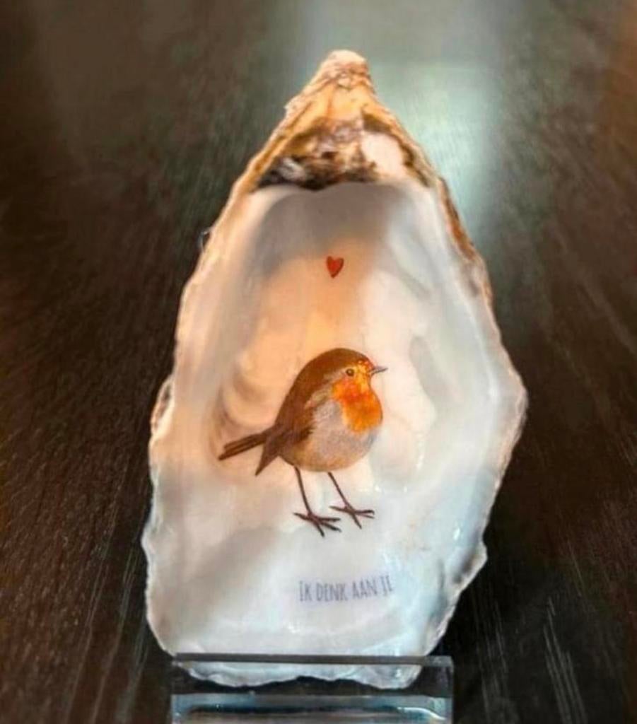 Handgemaakte Oester met Roodborstje - Uniek Cadeau!