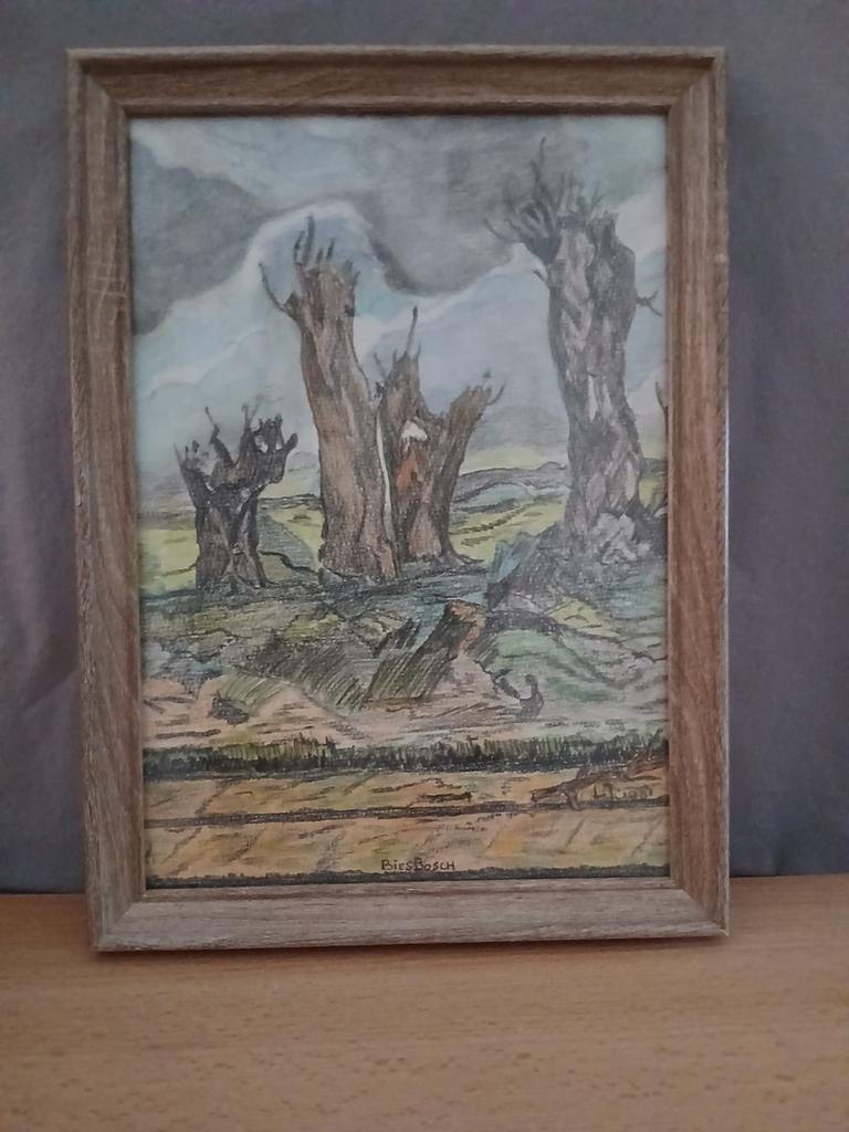 Knotwilgen in de Dordtse Biesbosch.Aquarel potlood, Antiek en Kunst, Ophalen